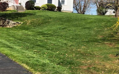 Photo of Mark H.'s yard after getting lawn care in Guilford, CT