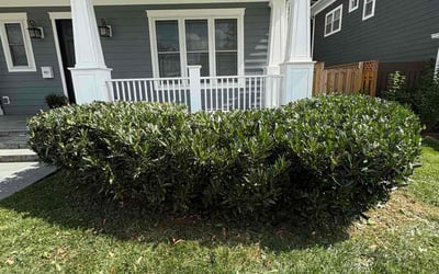 Photo of Andrew G.'s yard after getting lawn care in Bethesda, MD