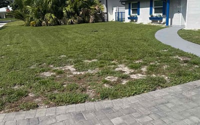 Photo of Nora S.'s yard after getting lawn care in Florence, AL