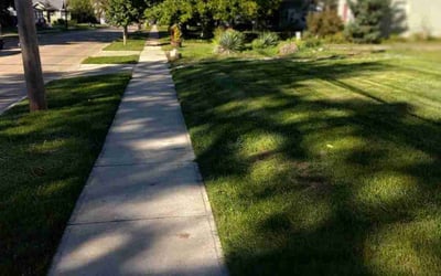Photo of Fany C.'s yard after getting lawn care in Burton, OH