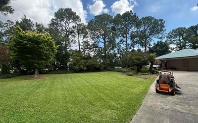 Photo of Connie R.'s yard after getting lawn care in New Orleans, LA