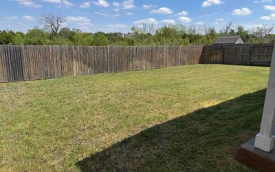 Photo of Wendy C.'s yard after getting lawn care in Grayslake, IL