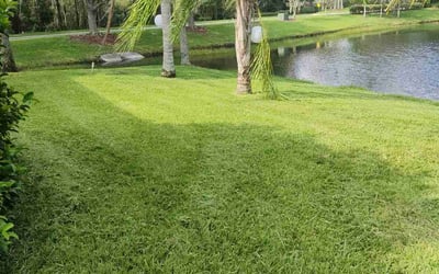 Photo of Georgia F.'s yard after getting lawn care in Vero Beach, FL