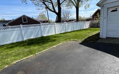 Photo of Te-Te P.'s yard after getting lawn care in Union, NJ