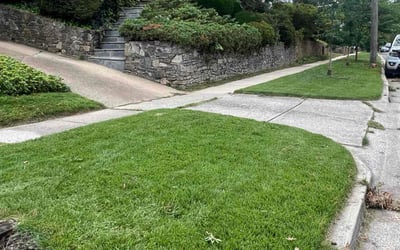 Photo of Sherri M.'s yard after getting lawn care in Bethesda, MD