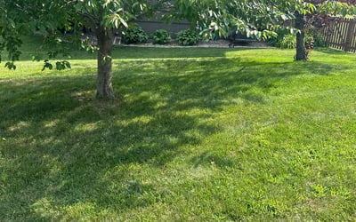Photo of Nicole B.'s yard after getting lawn care in Excelsior Springs, MO