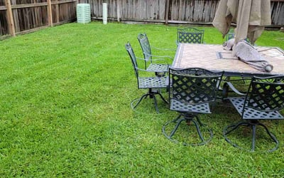 Photo of Doug p.'s yard after getting lawn care in New Hyde Park, NY