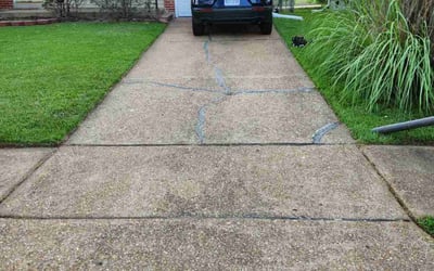 Photo of Sharonda F.'s yard after getting lawn care in Hillsboro, MO