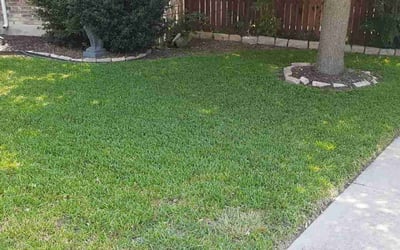 Photo of Rudy S.'s yard after getting lawn care in Schertz, TX