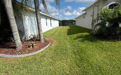 Photo of Serena G.'s yard after getting lawn care in Kansas City, KS