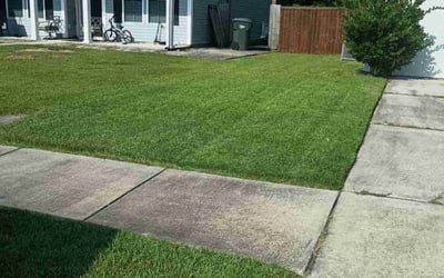 Photo of Lauren A.'s yard after getting lawn care in Hilton Head Island, SC