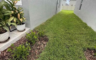 Photo of Steven B.'s yard after getting lawn care in China Grove, NC