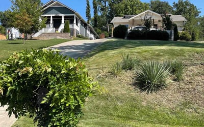 Photo of Melanie M.'s yard after getting lawn care in Jasper, AL