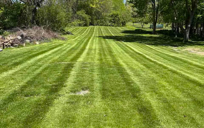 Photo of Dave D.'s yard after getting lawn care in Leland, NC