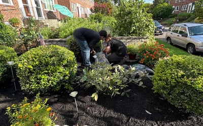 Photo of Margaret F.'s yard after getting lawn care in Seabrook, TX