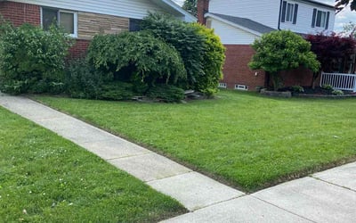 Photo of John E.'s yard after getting lawn care in DeSoto, TX