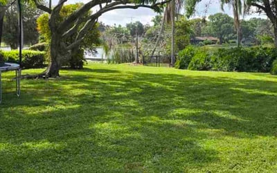 Photo of John D.'s yard after getting lawn care in Madison, AL