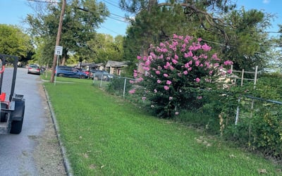 Photo of Perry B.'s yard after getting lawn care in Council Bluffs, IA