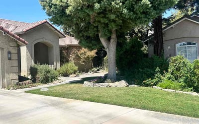Photo of Katie M.'s yard after getting lawn care in Visalia, CA