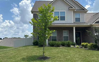 Photo of Annette F.'s yard after getting lawn care in Lake Wales, FL