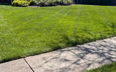 Photo of Lisa H.'s yard after getting lawn care in Libertyville, IL
