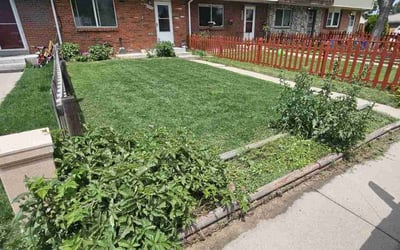 Photo of Fred V.'s yard after getting lawn care in Argyle, TX