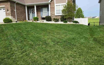 Photo of Matt B.'s yard after getting lawn care in Columbia, IL