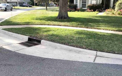 Photo of Jerry S.'s yard after getting lawn care in Fleming Island, FL