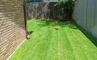 Photo of Sheldon G.'s yard after getting lawn care in Mansfield, TX