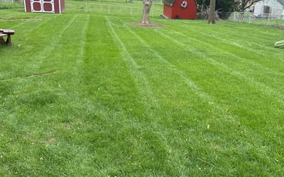 Photo of Michael D.'s yard after getting lawn care in Vandalia, OH