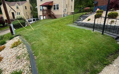 Photo of Ciara L.'s yard after getting lawn care in Hammond, IN