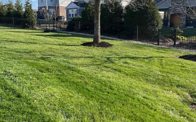 Photo of Becca M.'s yard after getting lawn care in Covington, KY
