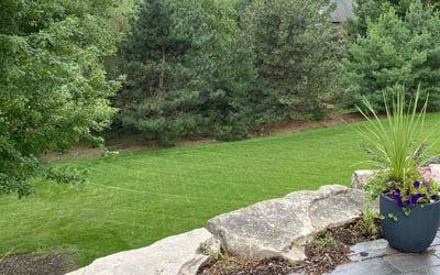 Photo of Maryann O.'s yard after getting lawn care in Appleton, WI