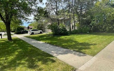 Photo of Steven R.'s yard after getting lawn care in Northbrook, IL