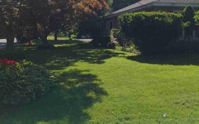 Photo of Rodney B.'s yard after getting lawn care in Andover, MA