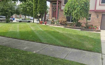 Photo of Jessica C.'s yard after getting lawn care in Westland, MI