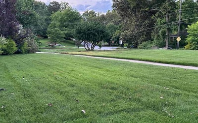 Photo of Denise W.'s yard after getting lawn care in Decatur, AL