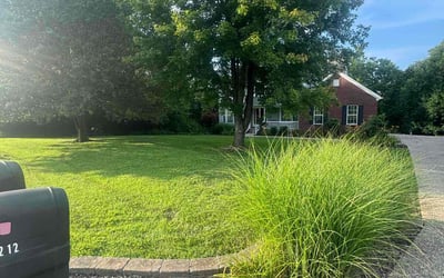 Photo of Darlene D.'s yard after getting lawn care in Hermitage, PA