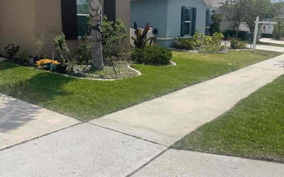 Photo of Austin C.'s yard after getting lawn care in South Richmond Hill, NY