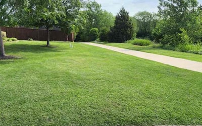 Photo of corey G.'s yard after getting lawn care in Sunnyvale, TX