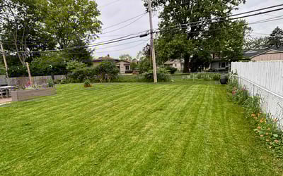 Photo of Donald C.'s yard after getting lawn care in Hudson, WI