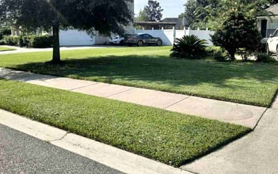 Photo of Aremo A.'s yard after getting lawn care in Oakleaf Plantation, FL