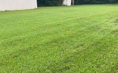 Photo of Sharon E.'s yard after getting lawn care in Willis, TX