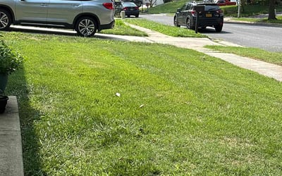 Photo of Brett T.'s yard after getting lawn care in Severna Park, MD