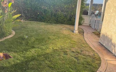 Photo of Nancy W.'s yard after getting lawn care in Del Mar, CA