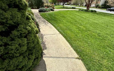 Photo of Kailee N.'s yard after getting lawn care in Powhatan, VA