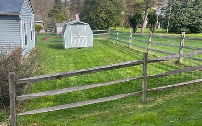 Photo of Carol H.'s yard after getting lawn care in Downingtown, PA
