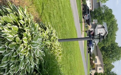Photo of Steve G.'s yard after getting lawn care in Liverpool, NY
