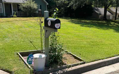 Photo of Tanya V.'s yard after getting lawn care in Detroit, MI