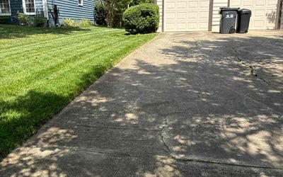 Photo of Sheri G.'s yard after getting lawn care in Madison, NC